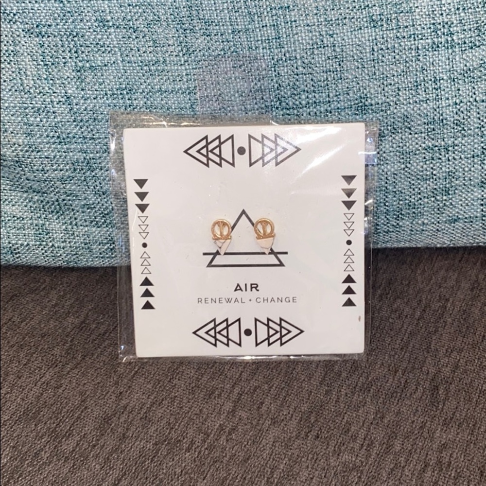 NWT Air- renewal change earring